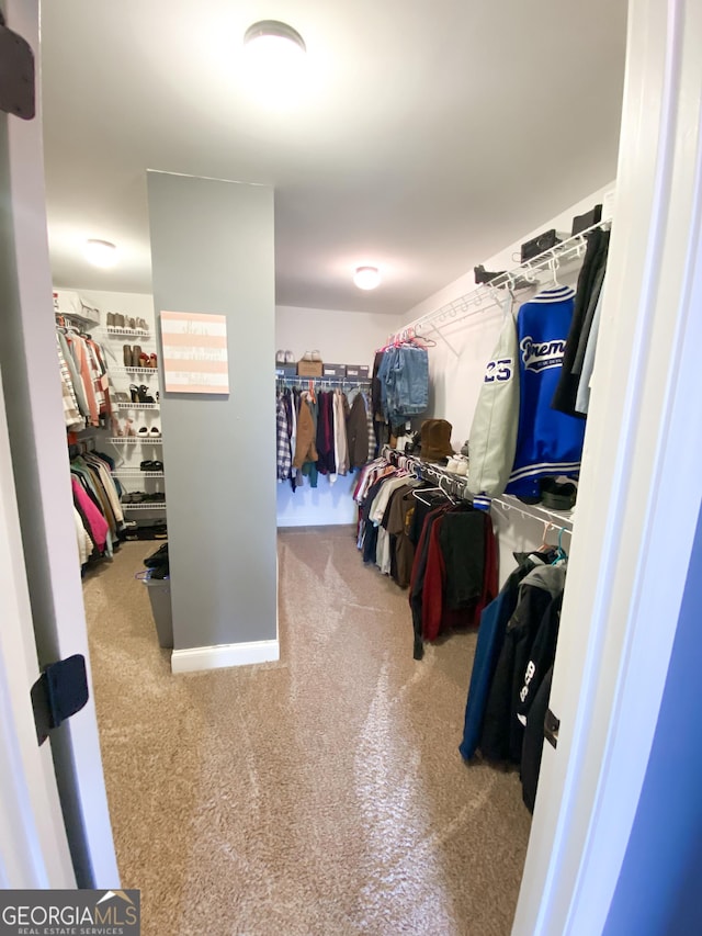 walk in closet with carpet floors
