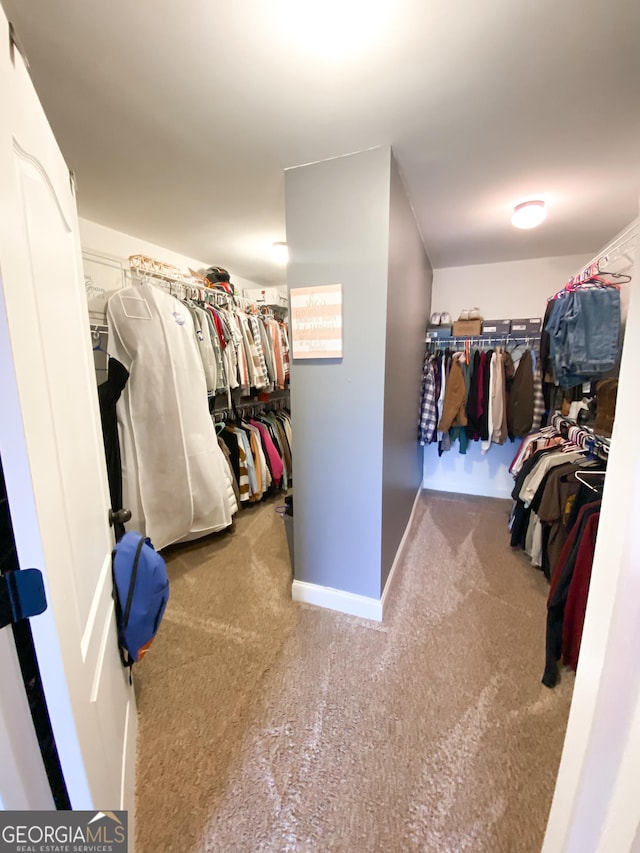 walk in closet featuring carpet flooring