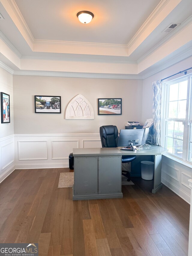 home office featuring a tray ceiling, dark wood-style floors, and a wealth of natural light