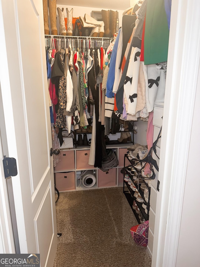 spacious closet with carpet floors