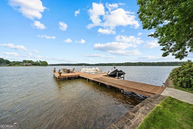 dock area with a water view