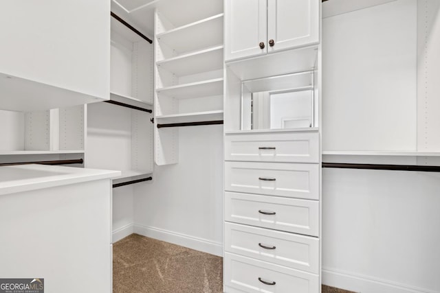 walk in closet featuring light colored carpet