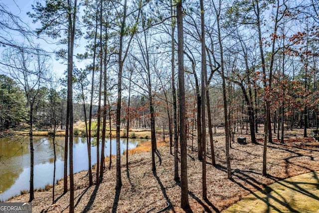 property view of water