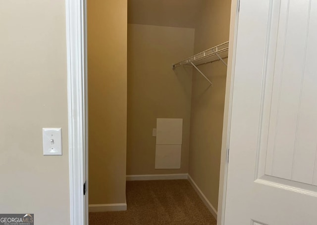 walk in closet featuring carpet floors