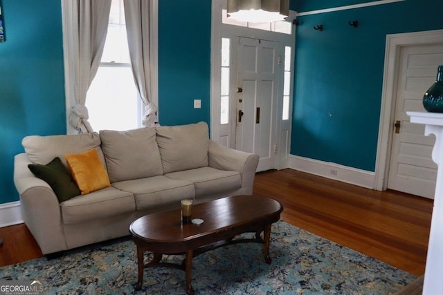 living room with wood-type flooring