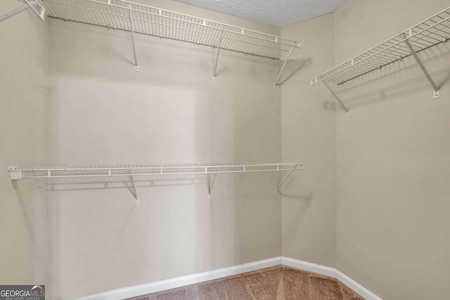 walk in closet with carpet flooring