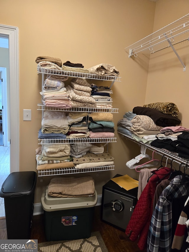 walk in closet with hardwood / wood-style flooring