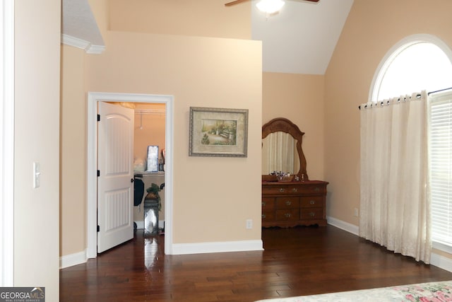 bedroom featuring lofted ceiling and dark hardwood / wood-style flooring