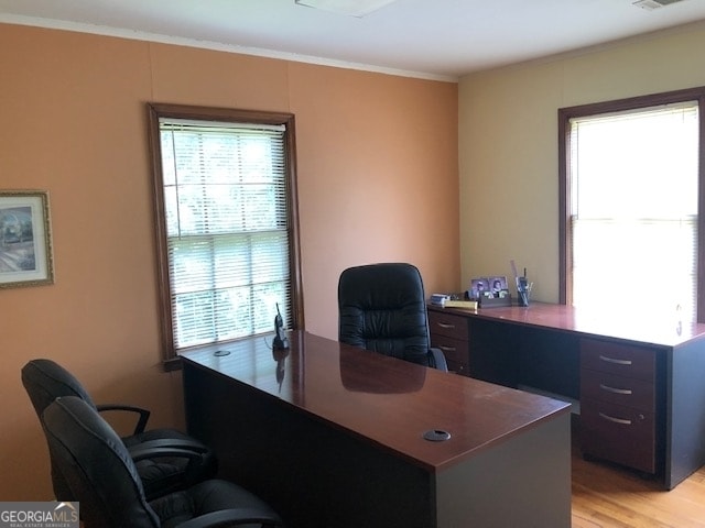 office featuring crown molding and light wood-type flooring