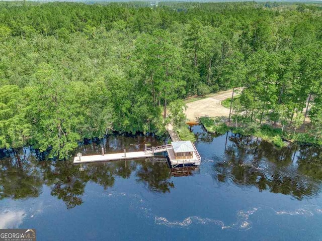 bird's eye view featuring a water view and a forest view