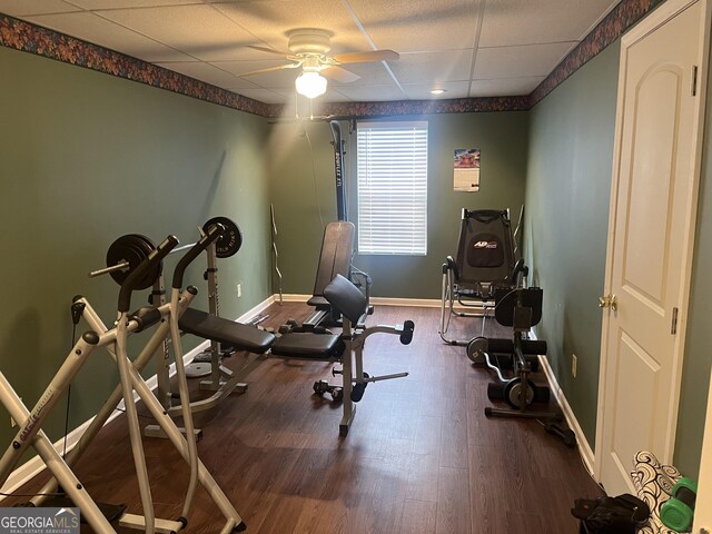 workout area with a drop ceiling, hardwood / wood-style flooring, and ceiling fan