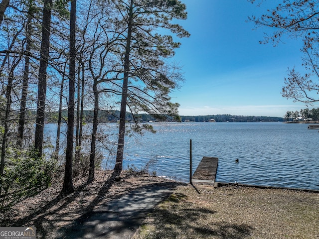 property view of water with a boat dock