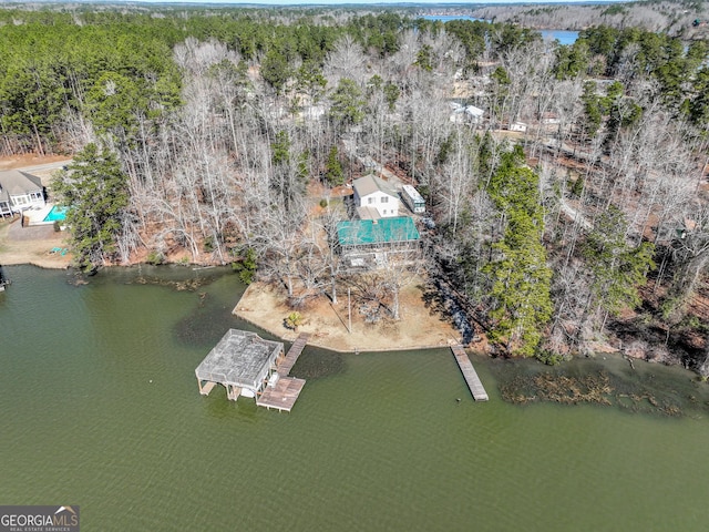 bird's eye view featuring a water view and a forest view