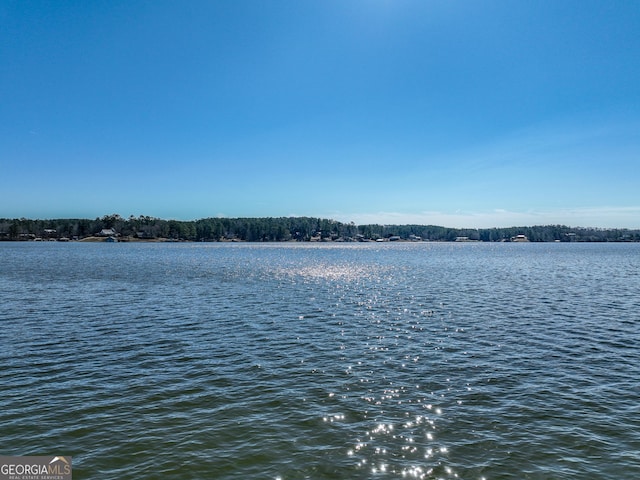 view of water feature