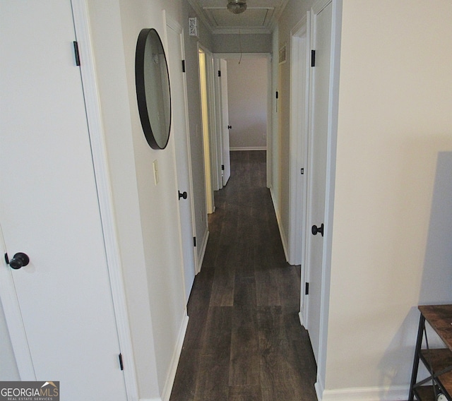 corridor featuring crown molding and dark hardwood / wood-style floors