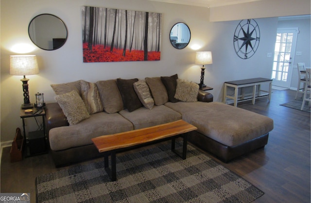 living room featuring dark hardwood / wood-style flooring