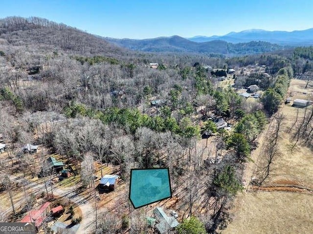 birds eye view of property with a mountain view