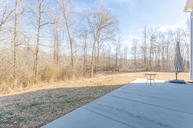 view of yard with a patio area