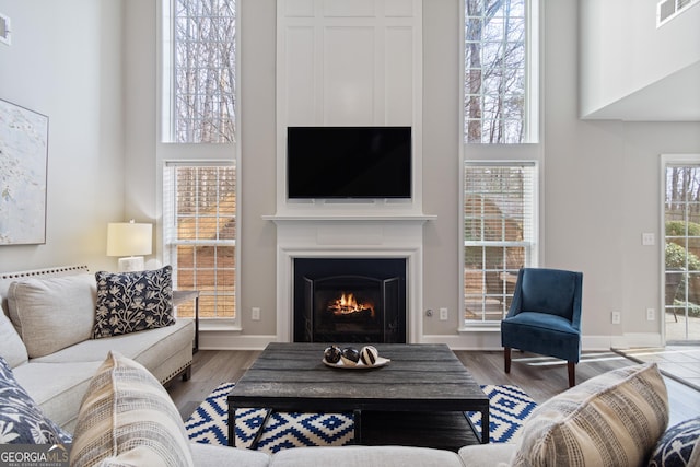 living room featuring hardwood / wood-style flooring and a high ceiling