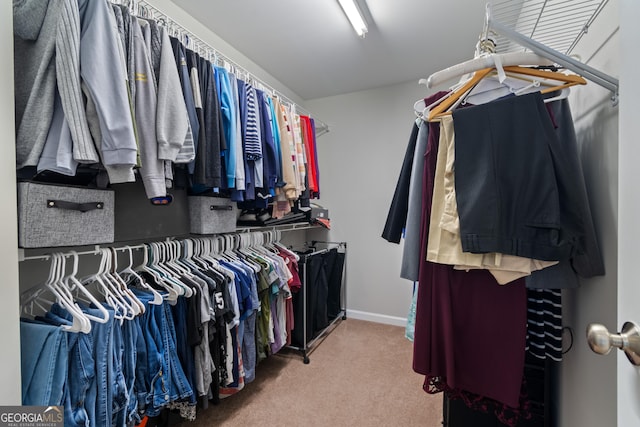 walk in closet with carpet flooring