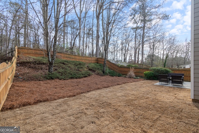 view of yard with a patio area