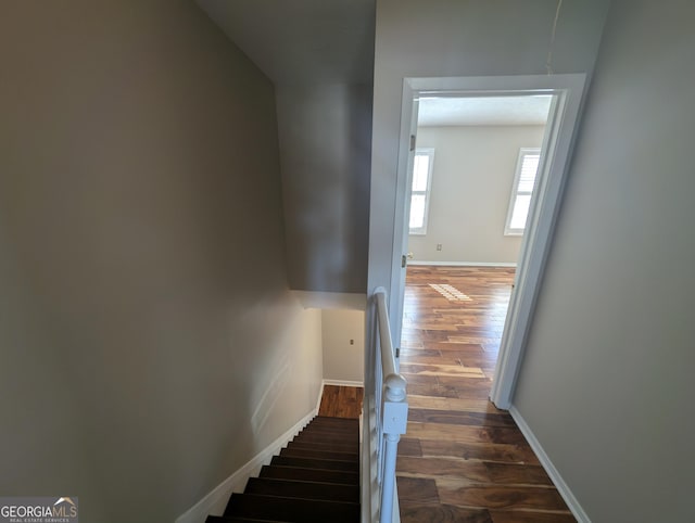 staircase featuring wood-type flooring