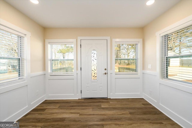 entryway featuring a healthy amount of sunlight and dark hardwood / wood-style flooring