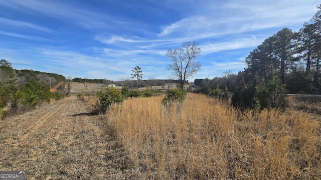 view of nature with a rural view