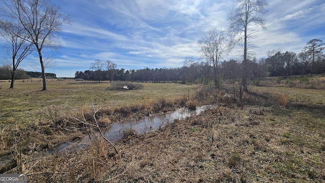 view of local wilderness featuring a rural view