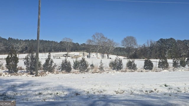 view of snowy yard