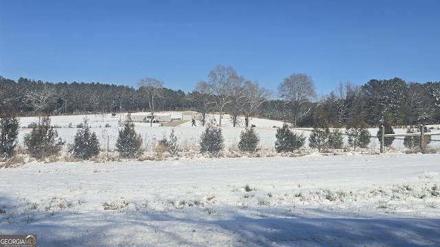 view of yard layered in snow