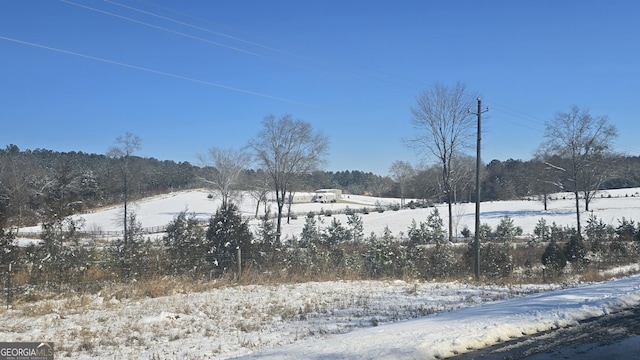 view of yard covered in snow