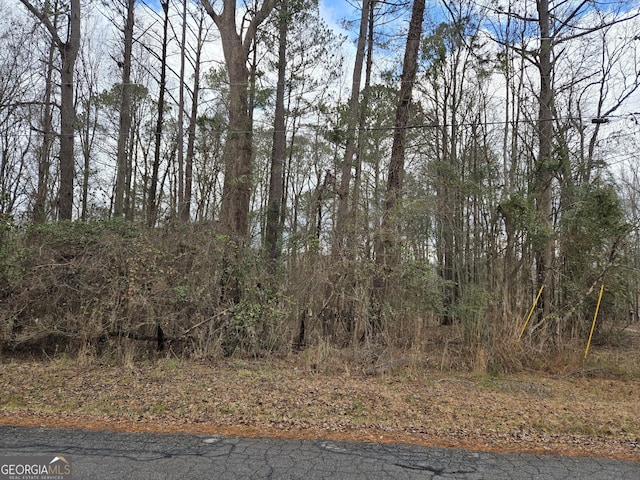 Listing photo 2 for LOT24 Blue Springs Dr, Buckhead GA 30625