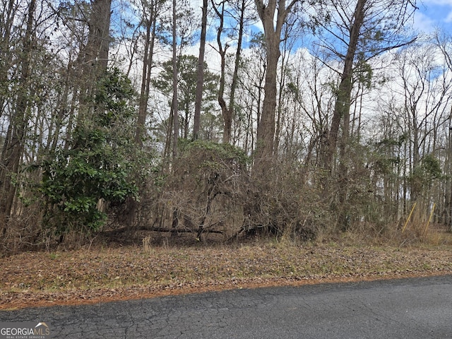 Listing photo 3 for LOT24 Blue Springs Dr, Buckhead GA 30625