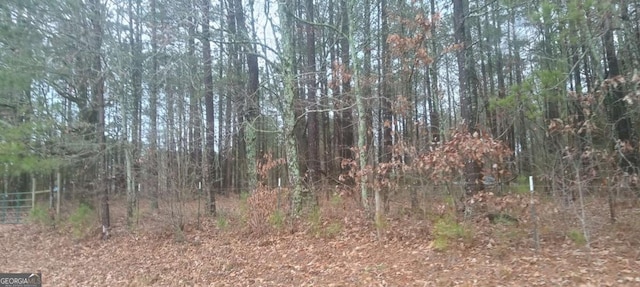 00 Town Creek Rd, Franklin GA, 30217 land for sale