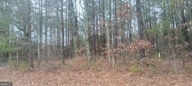 0 Town Creek Rd, Franklin, GA 30217
