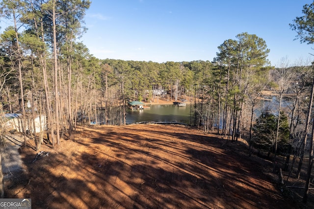 Listing photo 3 for 133 Wildwood Dr, Sparta GA 31087