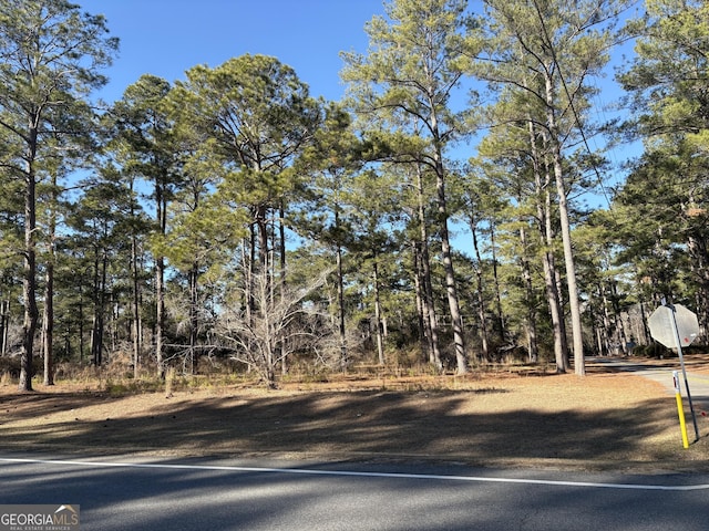 672 Hawkinsville Hwy, Eastman GA, 31023 land for sale