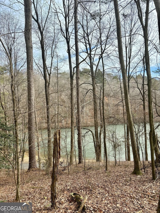 Listing photo 3 for 200 Timberwalk Dr, Ellijay GA 30540