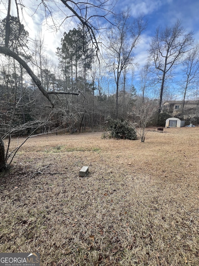 view of yard featuring a storage unit