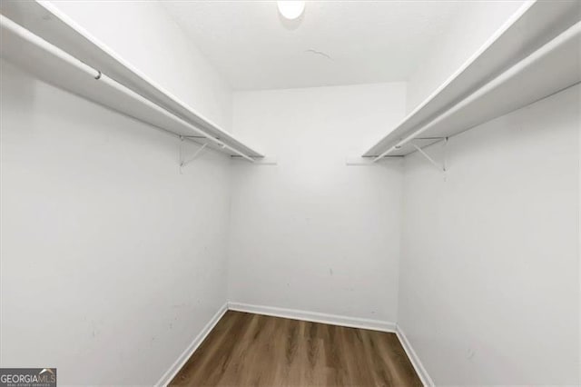 spacious closet featuring dark hardwood / wood-style flooring