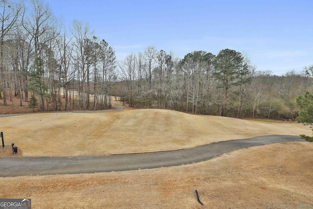 128 Greenview Dr, Newnan, GA 30265 - view of street