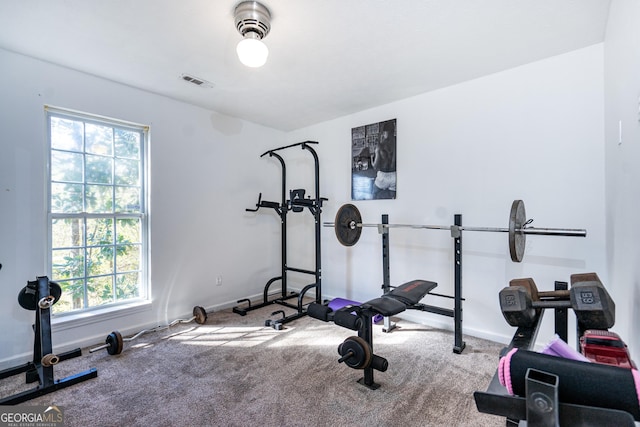 workout room featuring carpet