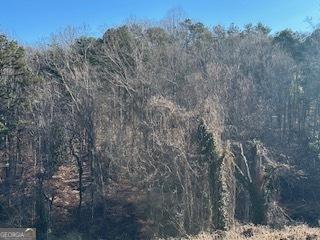 Listing photo 3 for 0 N Pond St, Toccoa GA 30577