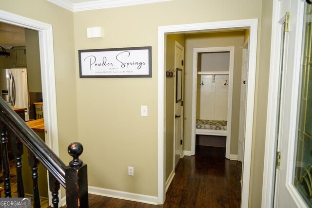 hallway featuring dark wood-type flooring and crown molding