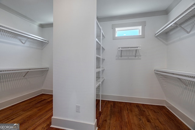 walk in closet with dark hardwood / wood-style floors