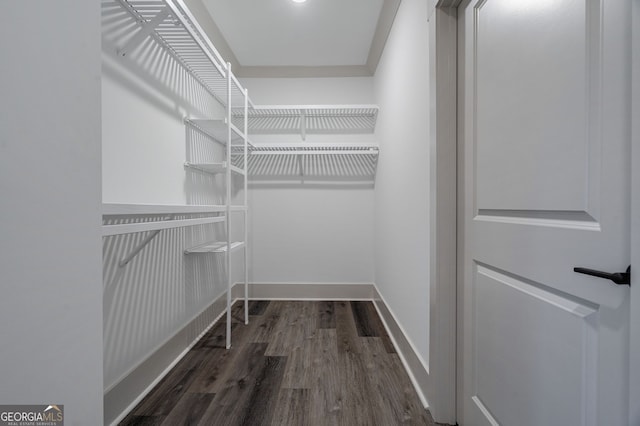 walk in closet featuring dark hardwood / wood-style flooring