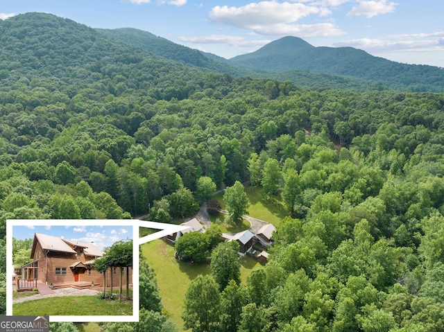 bird's eye view featuring a mountain view