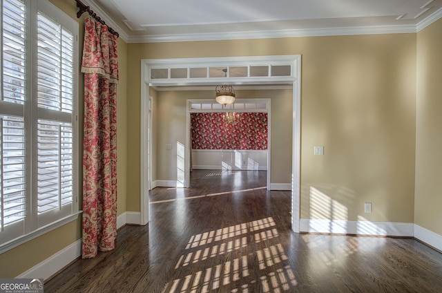 interior space featuring crown molding, plenty of natural light, and dark hardwood / wood-style flooring