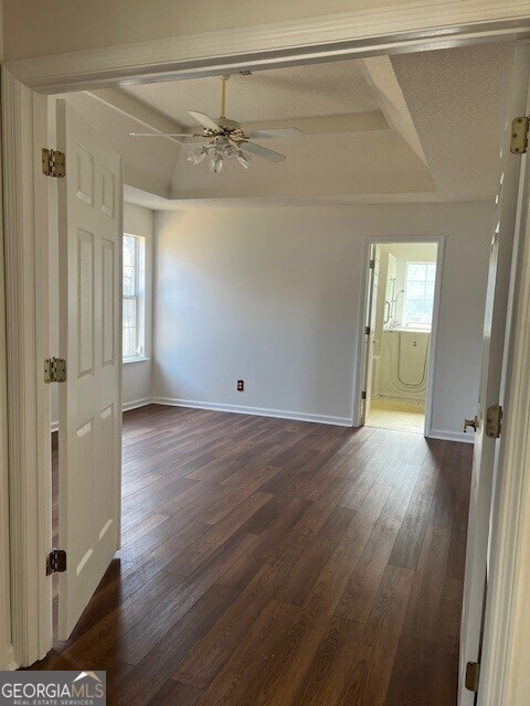 spare room featuring a raised ceiling, ceiling fan, vaulted ceiling, and dark hardwood / wood-style flooring